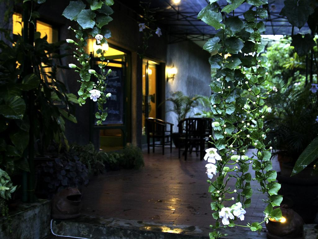 Margo Utomo Eco Resort Kalibaru Экстерьер фото